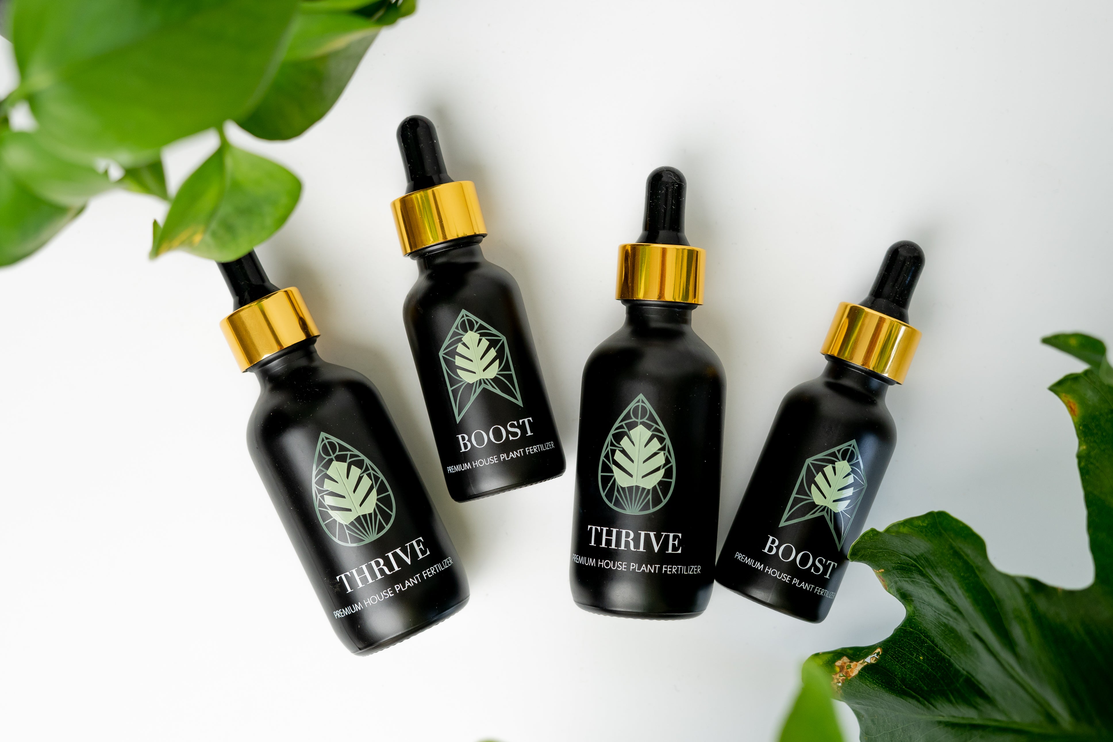 Plant Vitamins