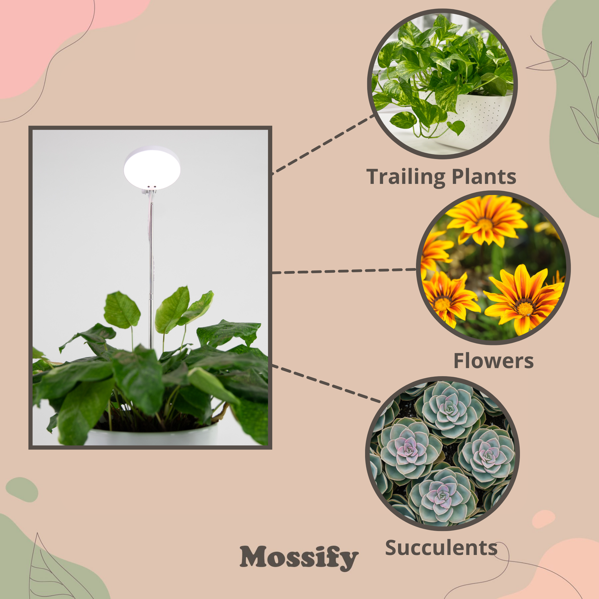 Mossify LED Plant Light: White