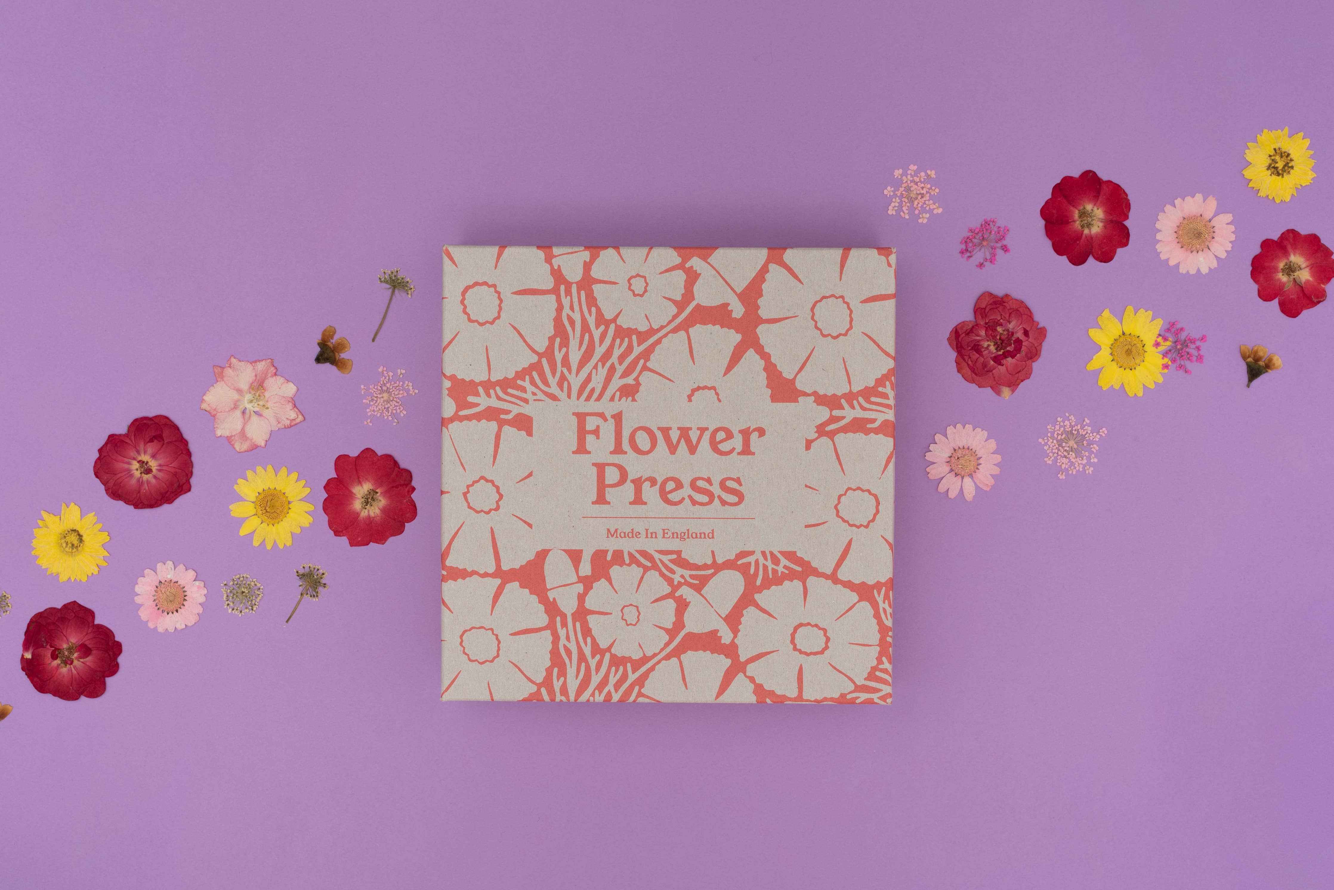 Flower Press - Cosmos