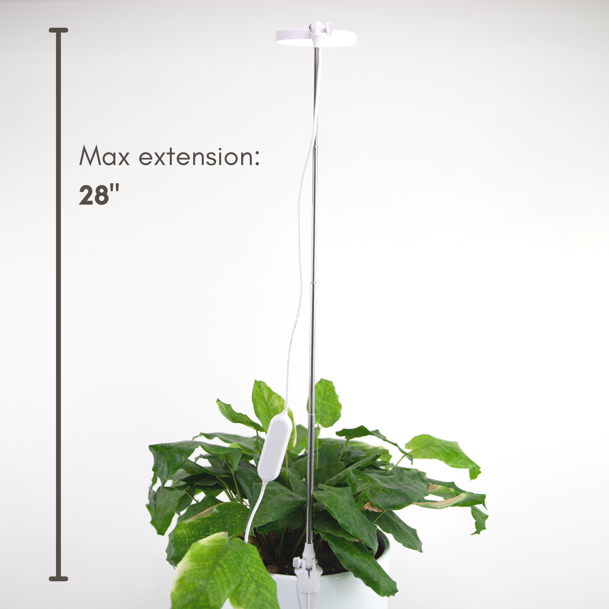 Mossify LED Plant Light: White