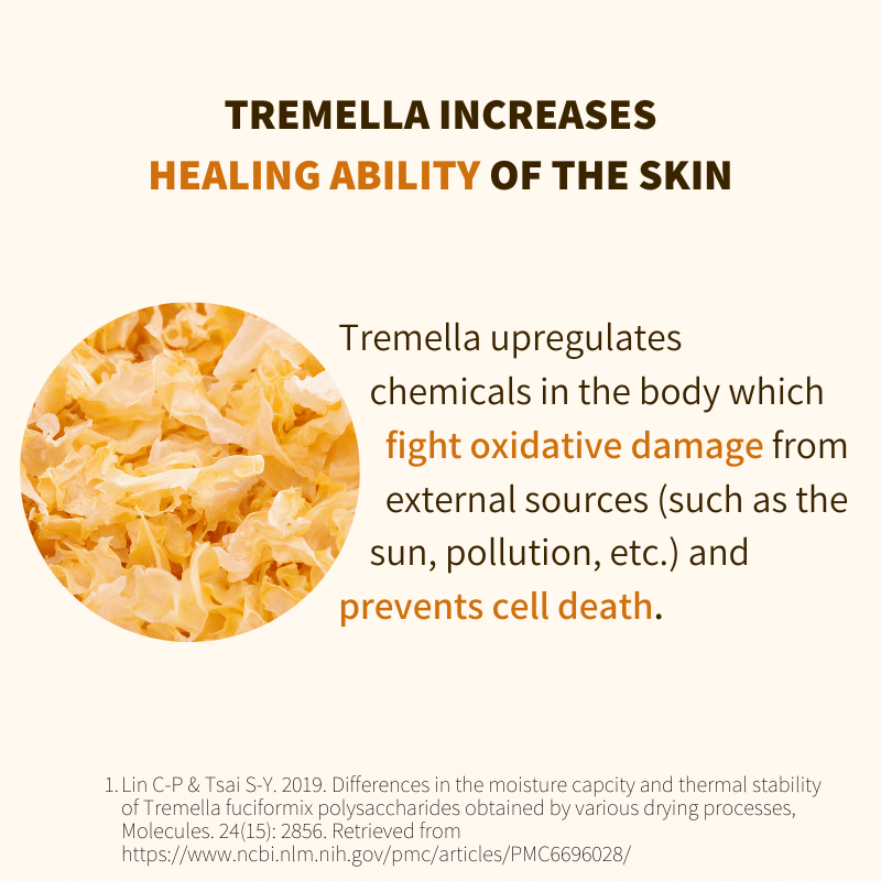 ETERNAL GLOW SCRUB | MUSHROOM SKINCARE