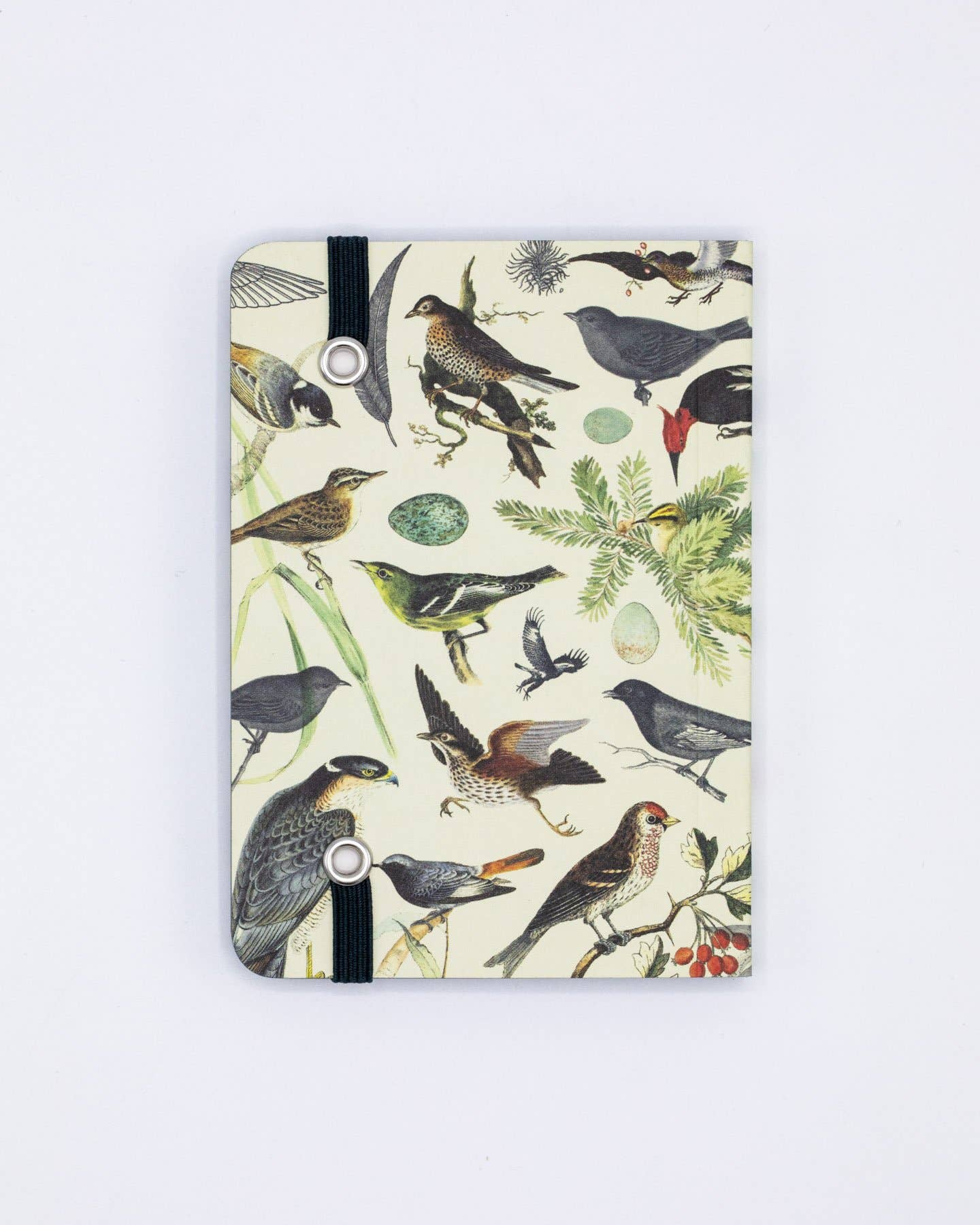 Birds & Feathers Observation Softcover