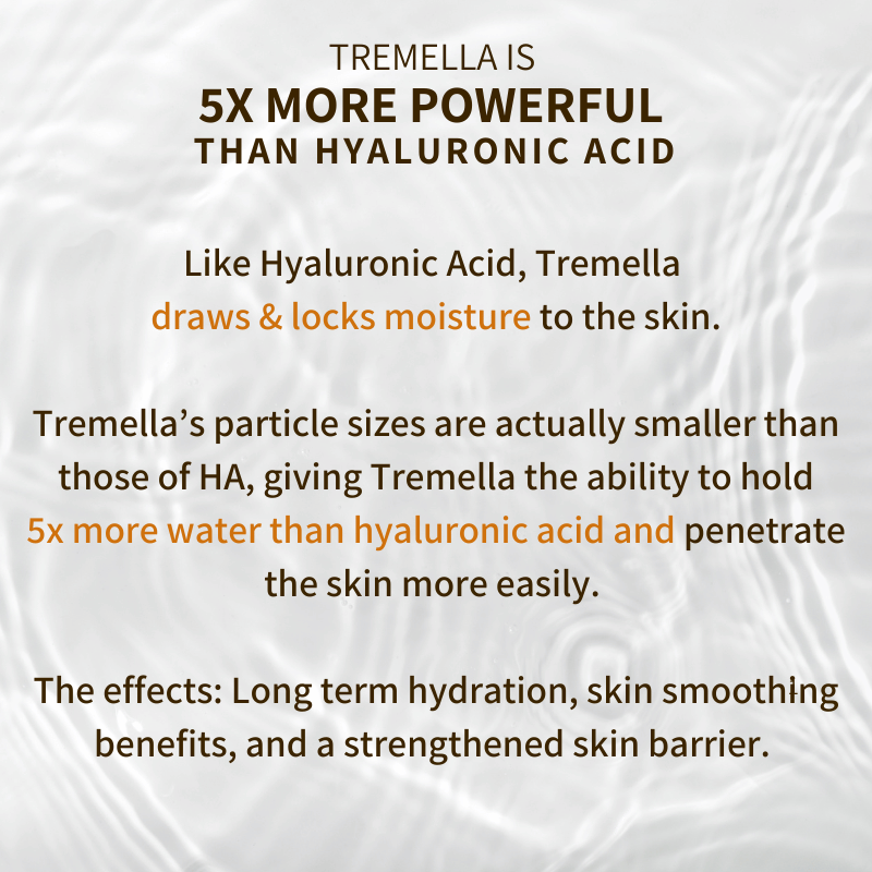ETERNAL GLOW SCRUB | MUSHROOM SKINCARE