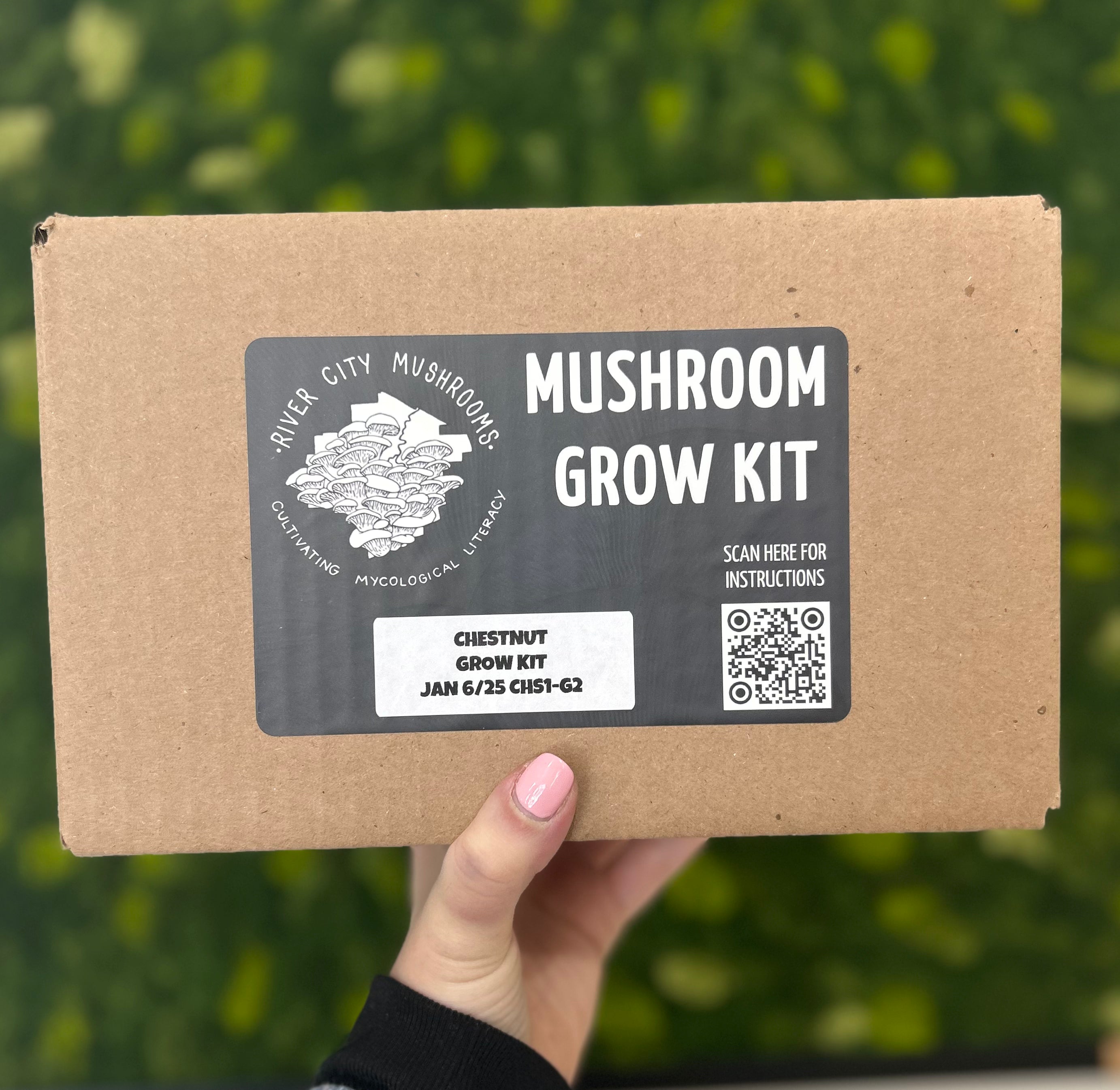 Mushroom Grow Kits 5 lbs