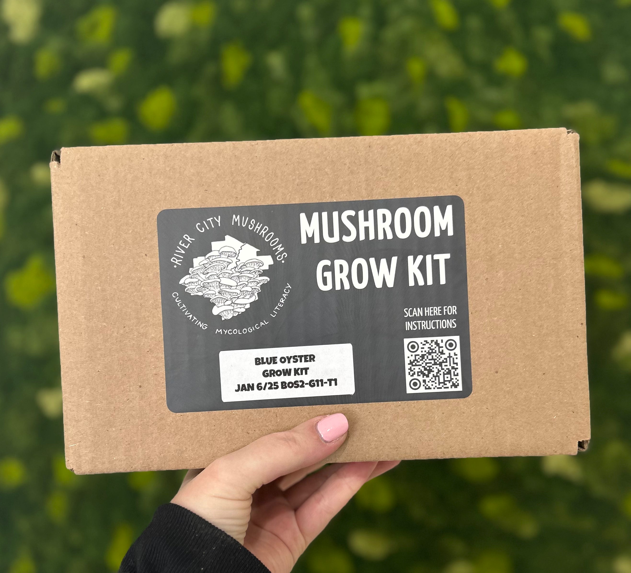 Mushroom Grow Kits 5 lbs