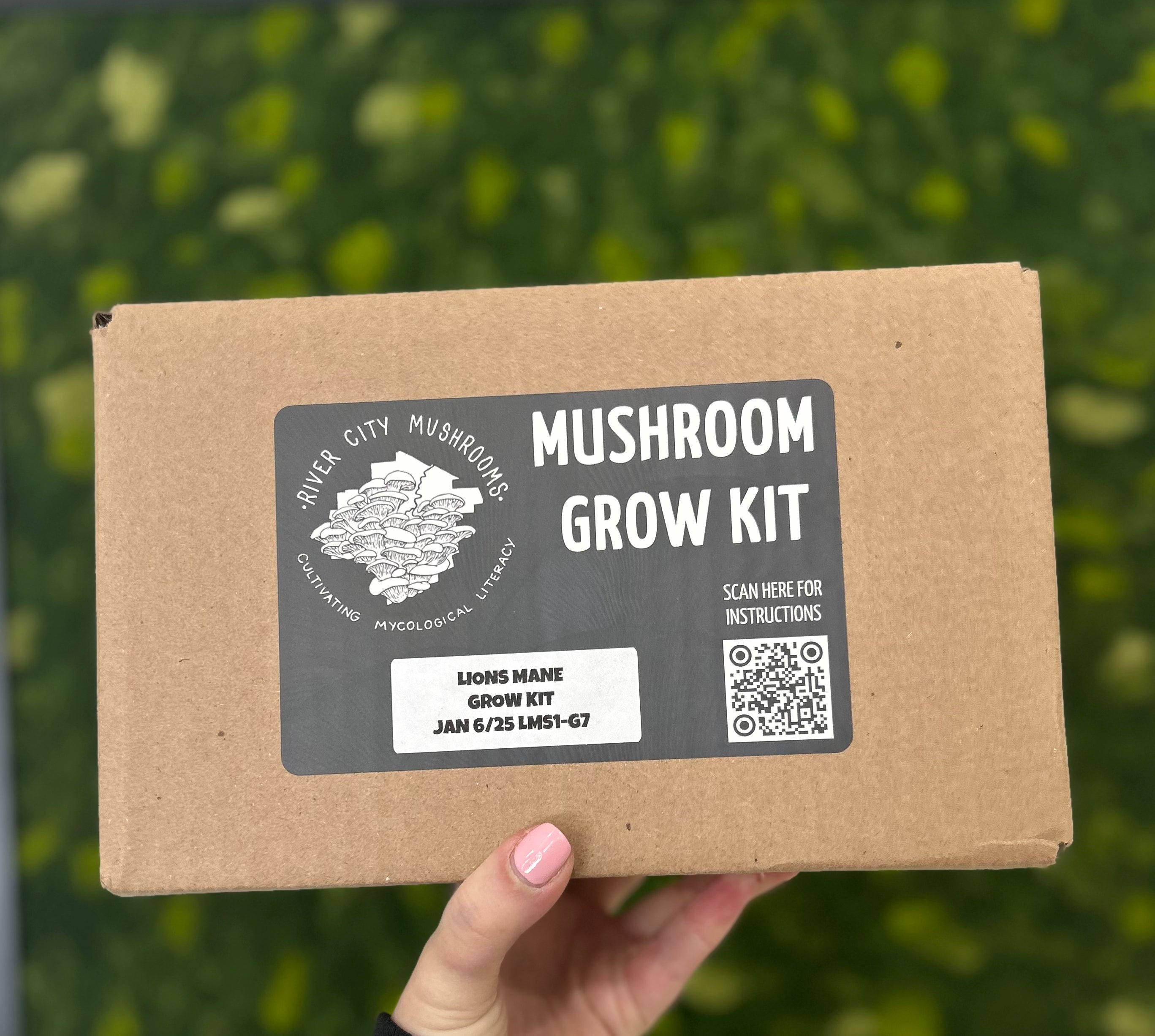 Mushroom Grow Kits 5 lbs