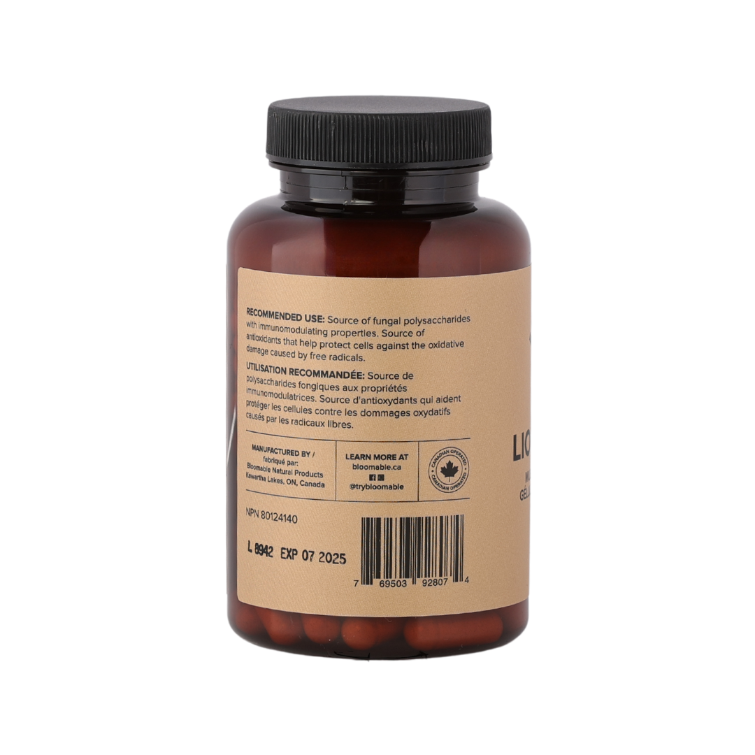 Lion's Mane Mushroom Capsules (120 Capsules)