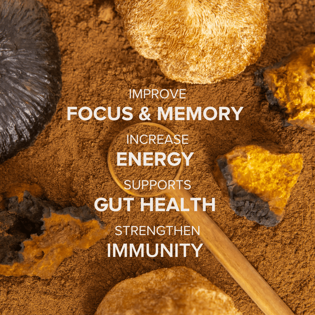 Mushroom Coffee with Lion’s Mane, Reishi, Chaga & L-Theanine (30 servings)
