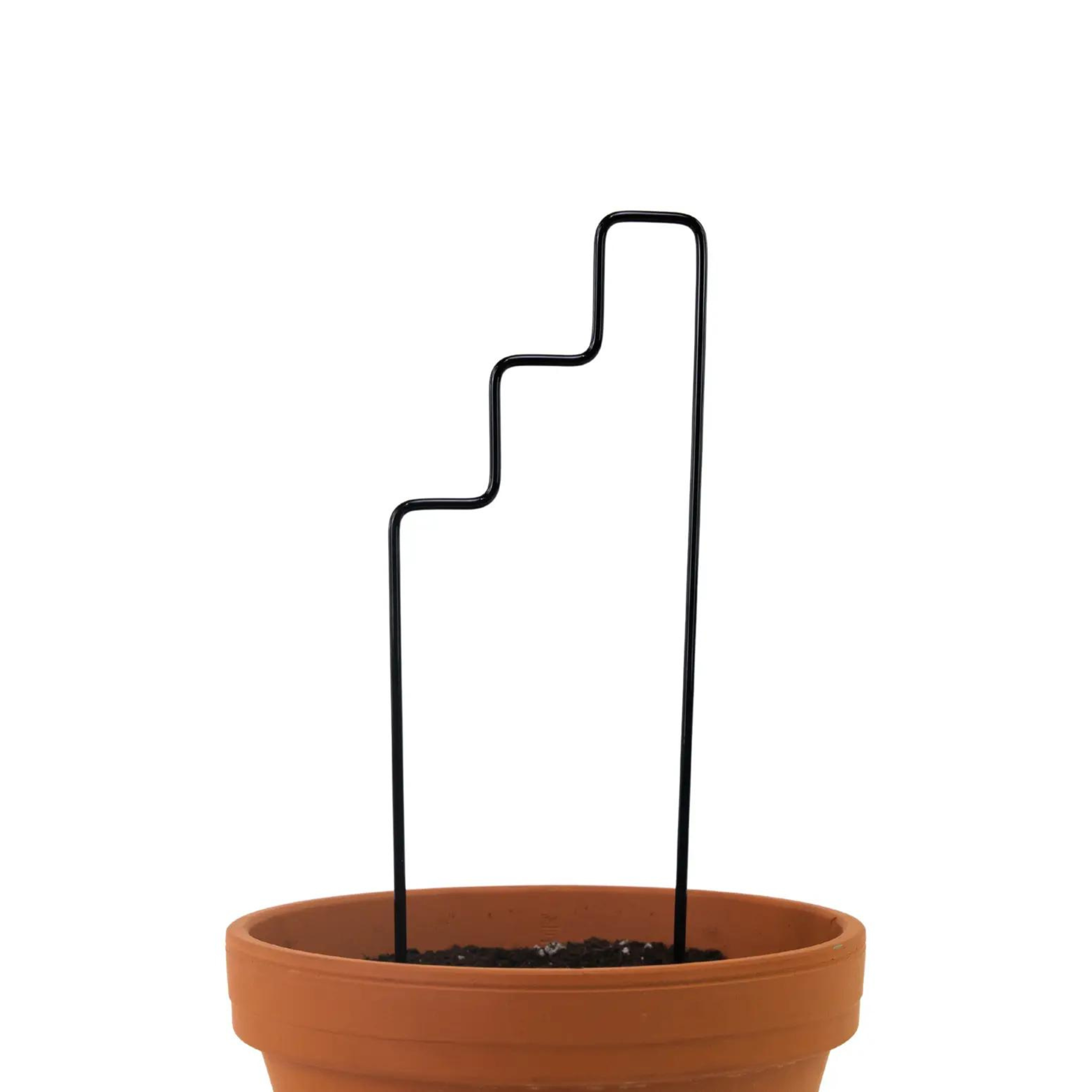 Plant Trellis - Black Metal Stairs Plant Support