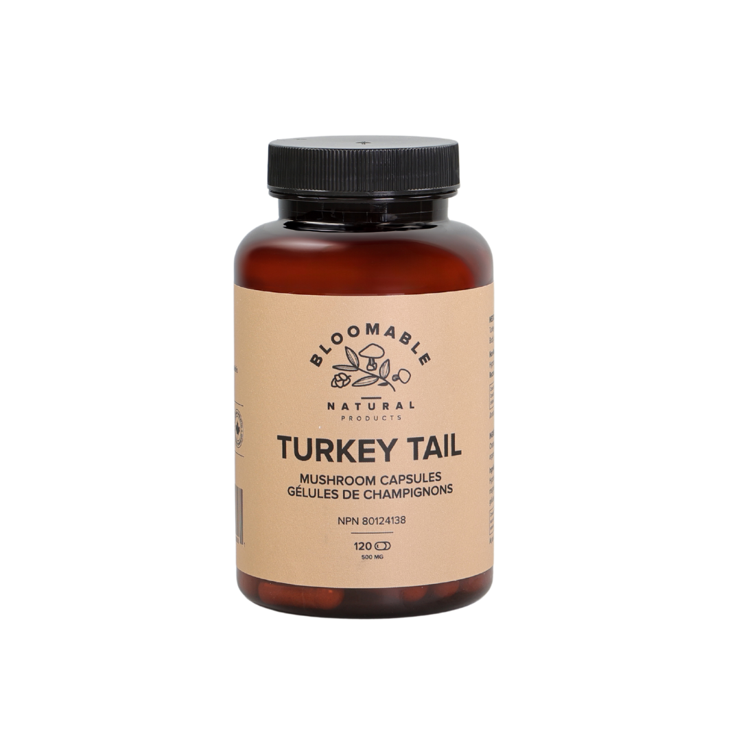 Turkey Tail Mushroom Capsules (120 Capsules)