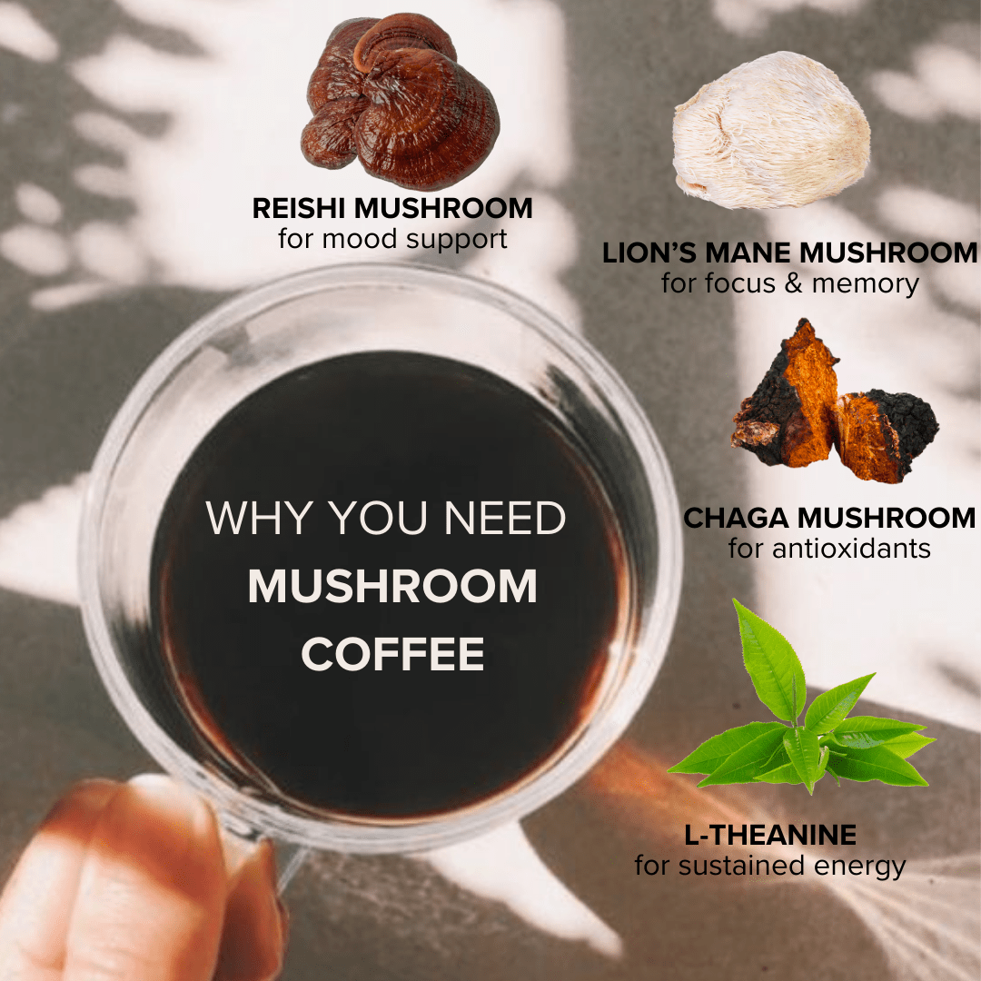 Mushroom Coffee with Lion’s Mane, Reishi, Chaga & L-Theanine (30 servings)