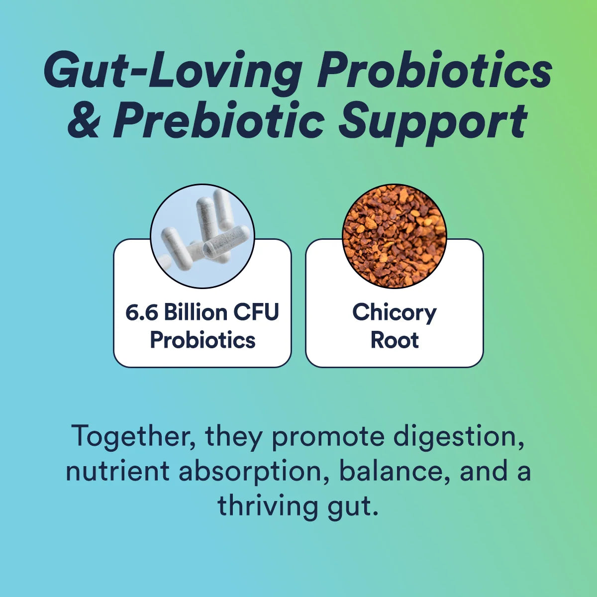 Cira Hydration + Gut Health
