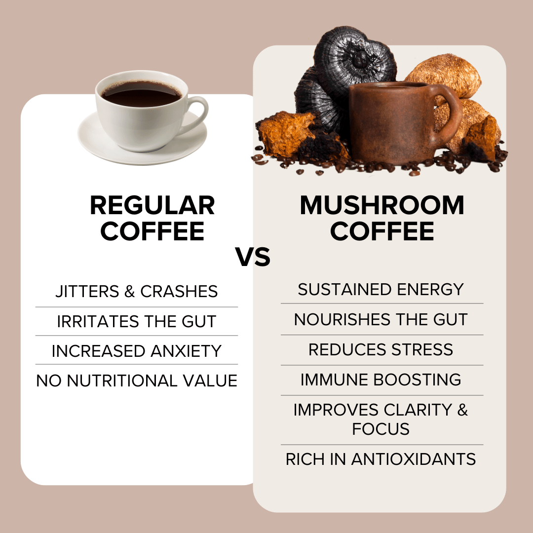 Mushroom Coffee with Lion’s Mane, Reishi, Chaga & L-Theanine (30 servings)