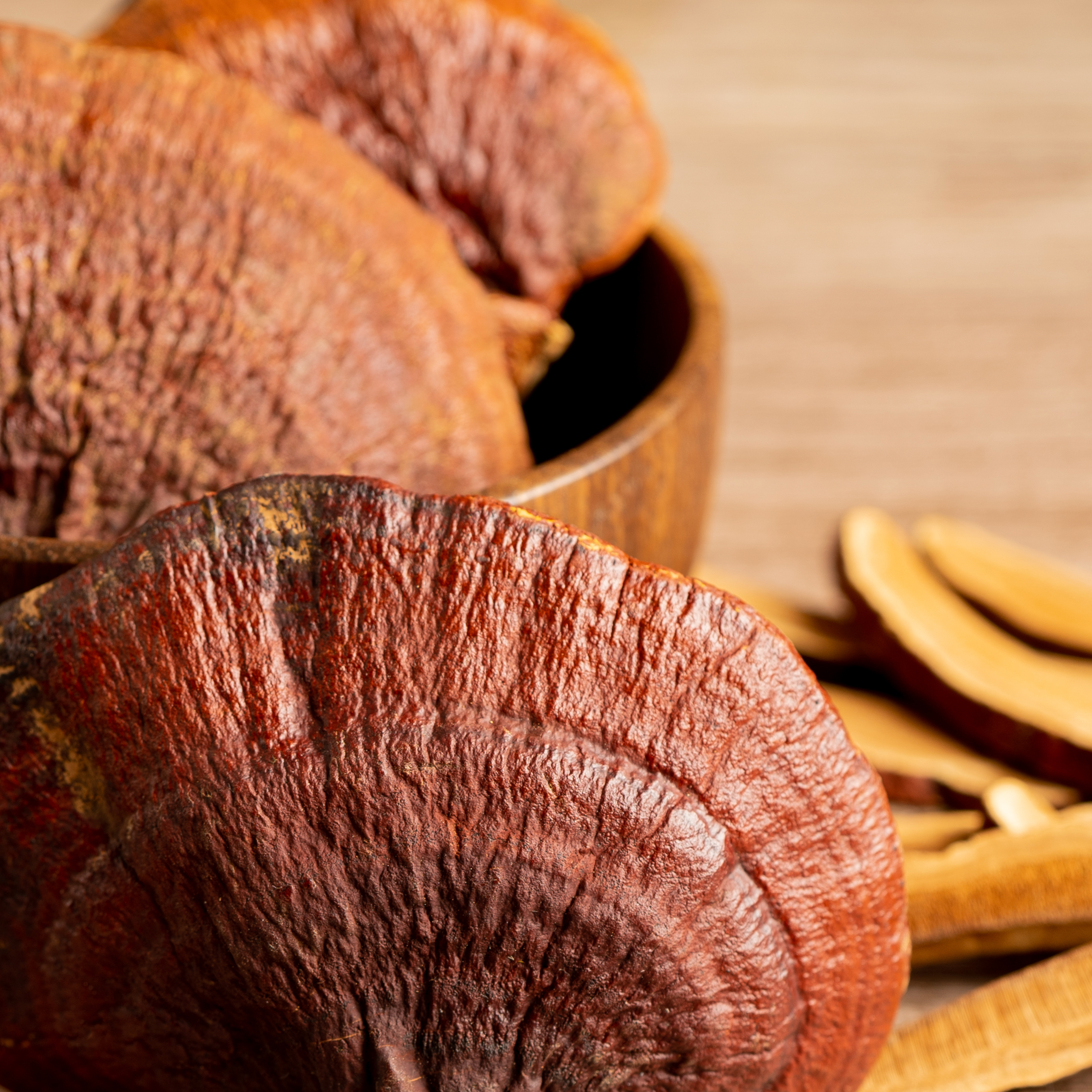 Reishi Mushroom Extract - Calm & Well-being Support