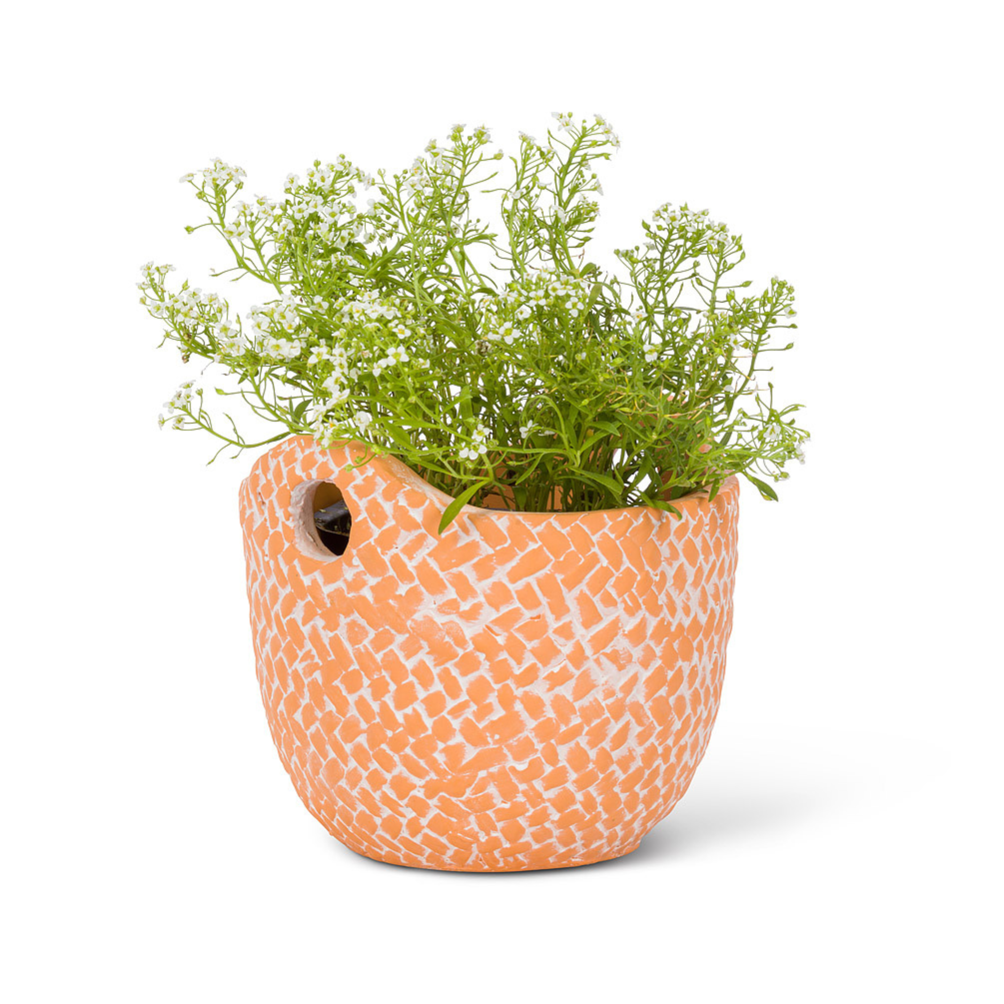 Terracotta Woven Planter With Handles