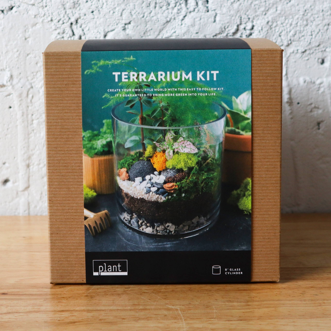 Terrarium Kit : Large Cylinder