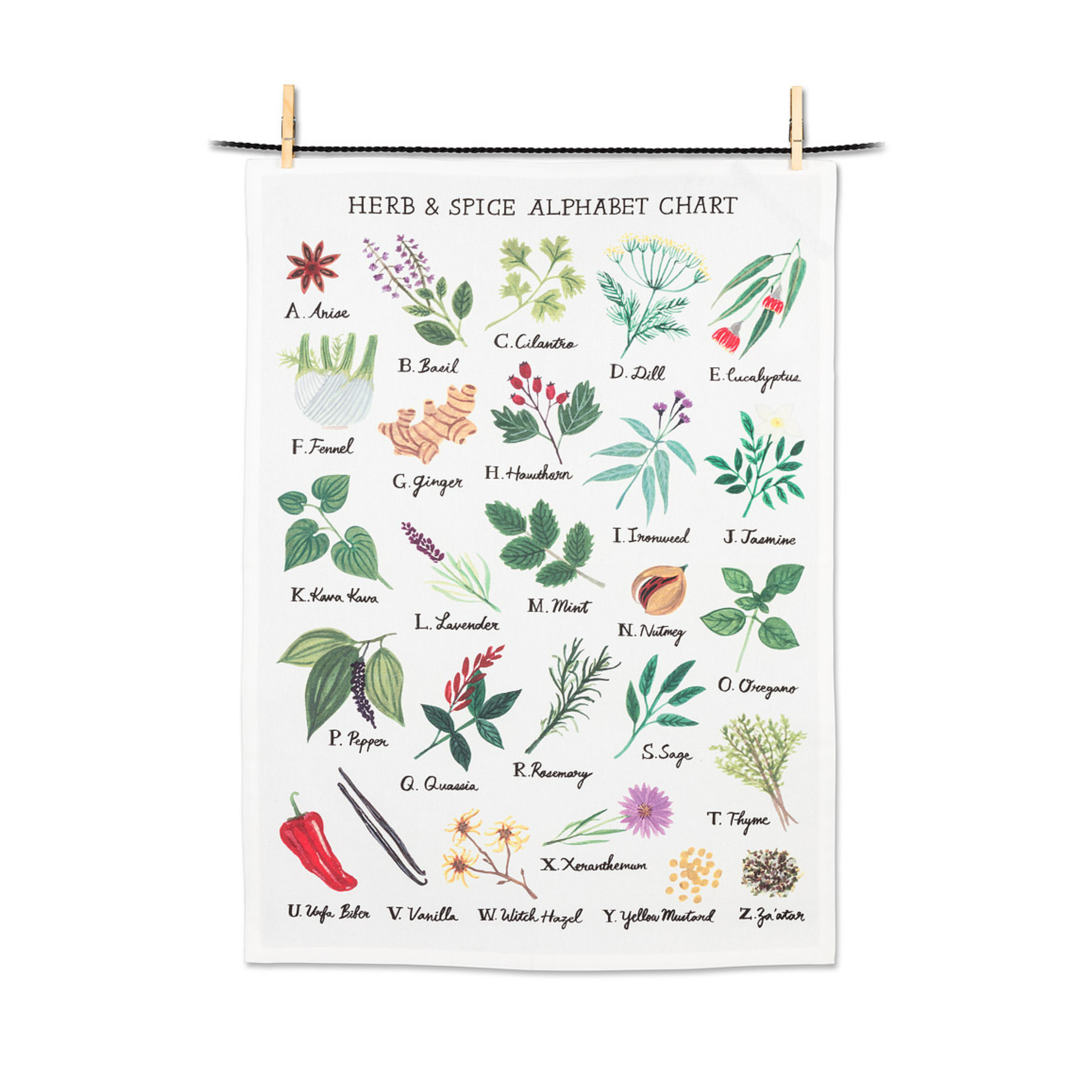 Herb & Spice Alphabet Tea Towel