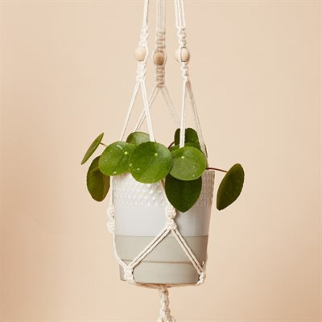 Calm Club - Hang Time DIY Macrame Plant Pot Hanger