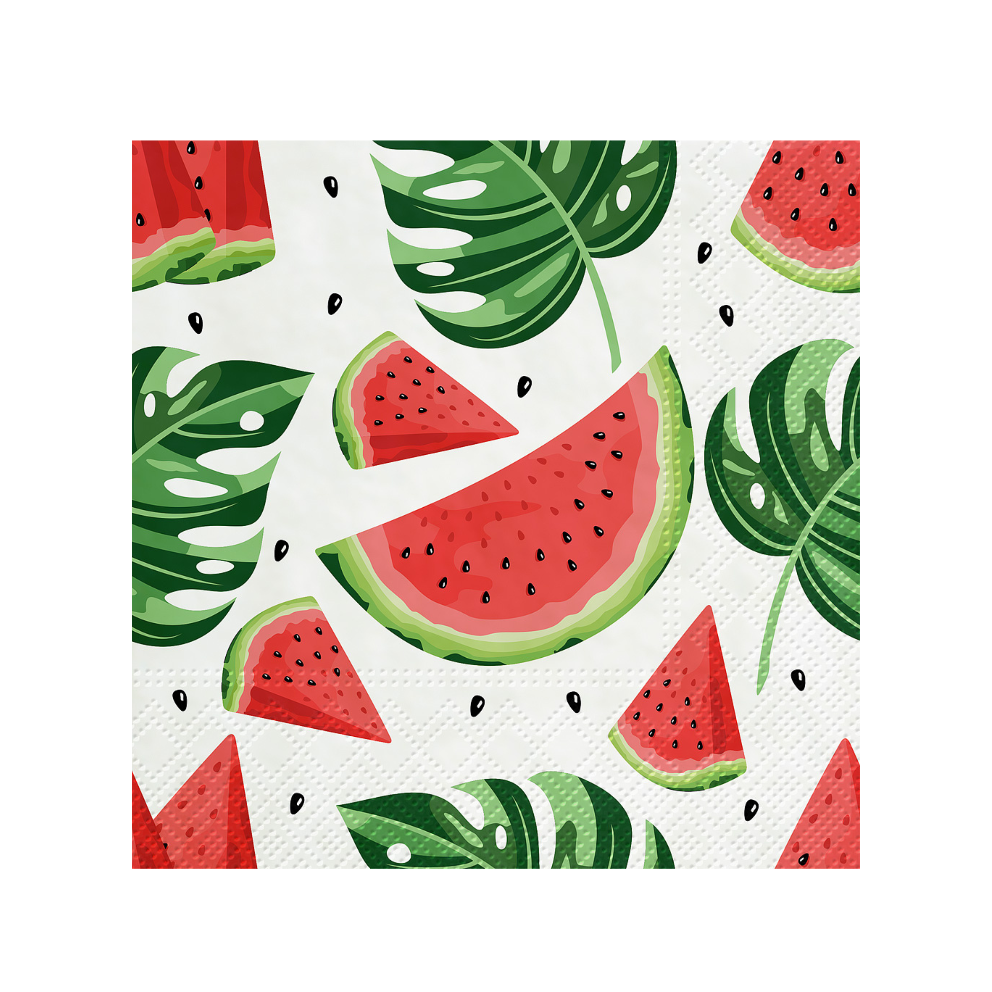 Watermelon Lunch Napkin Pack