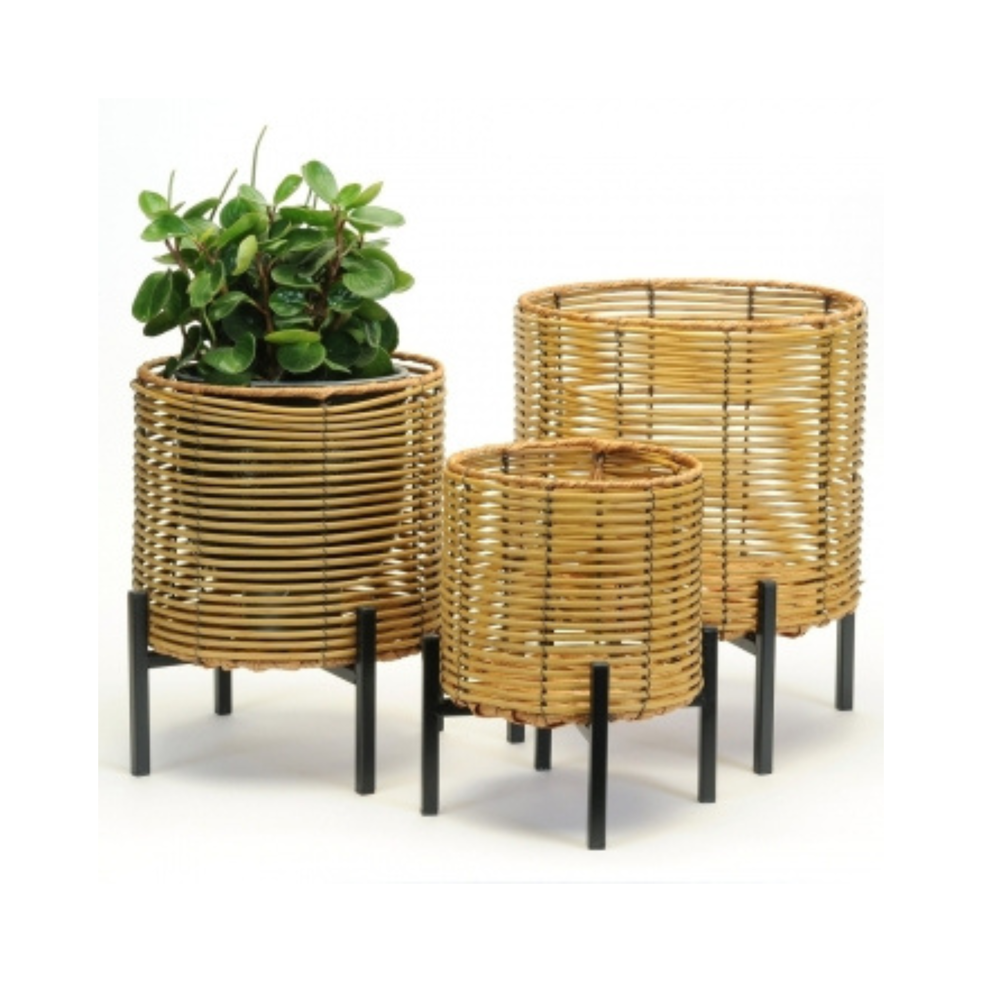Rattan Plant Stand With Legs