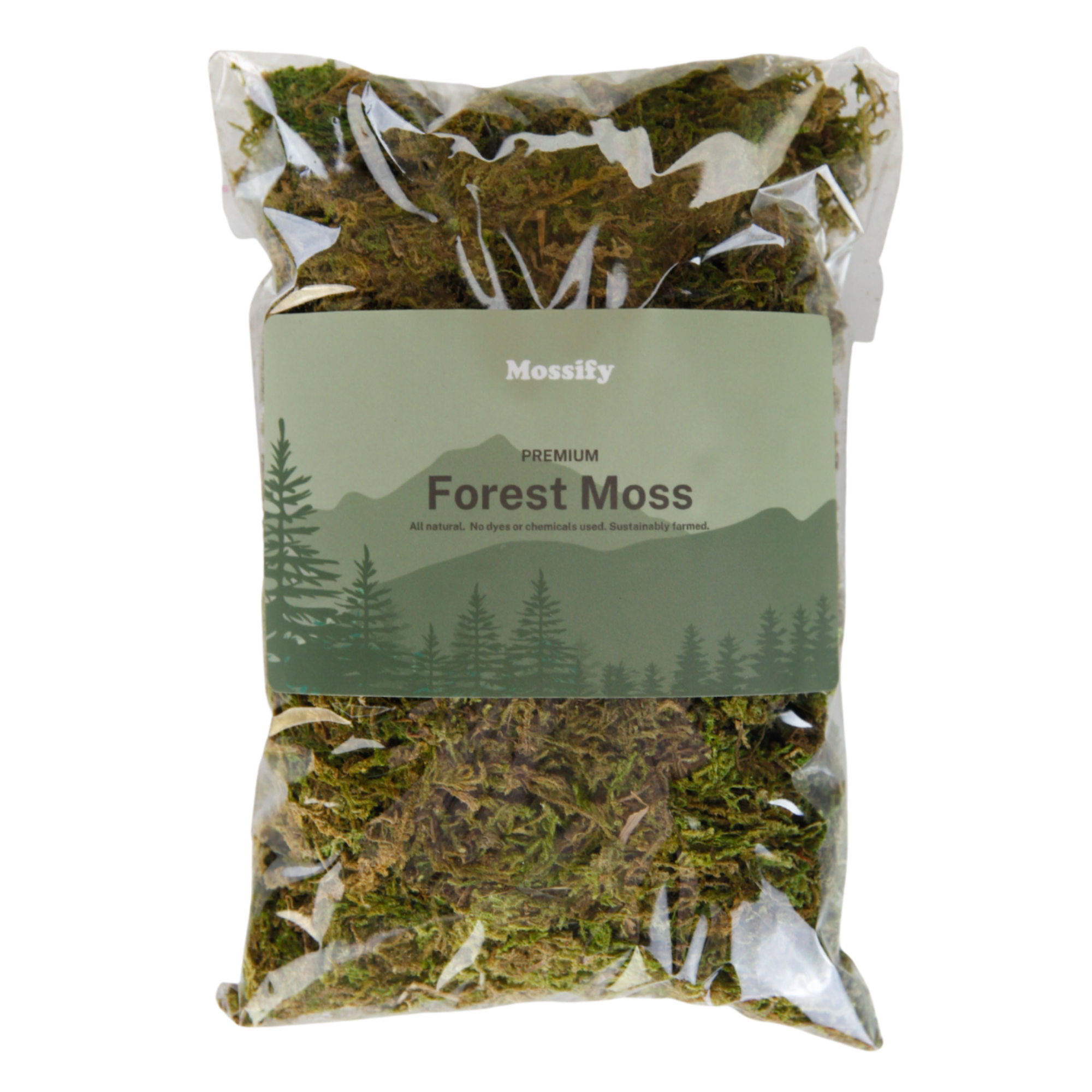 Forest Moss Mix